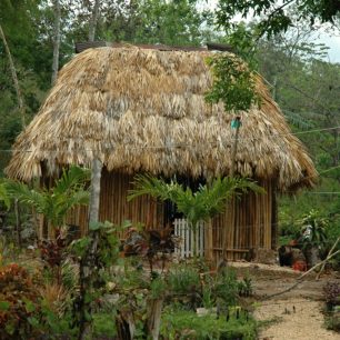 Nedaleko Playa del Carmen