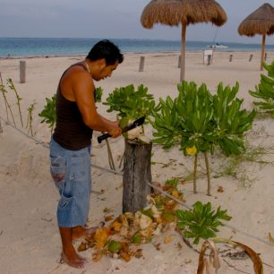 Příprava kokonut drinku