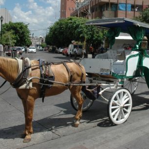 Kočár čekající na turisty