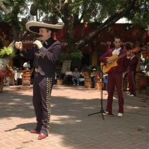 Mariachi