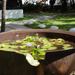 Zbytky starých cukrovarů jsou všude