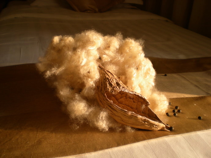 Kapok je hebký jako hedvábí