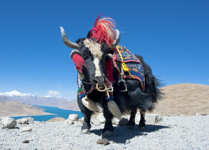 Tibet, foto: Shutterstock.com