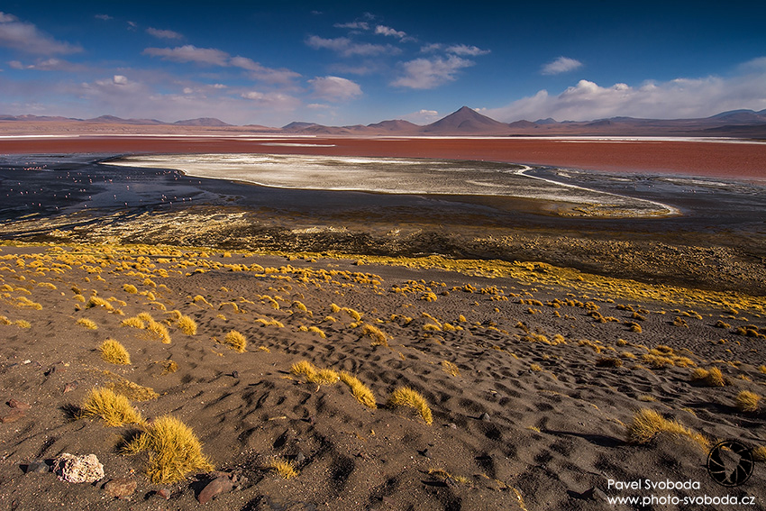 Altipláno - laguna Colorada