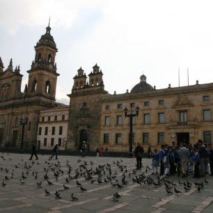 Hlavní náměstí Bogoty je spíše než turisty přeplněno holuby, což bohužel ještě umocňují prodavačky zrní.