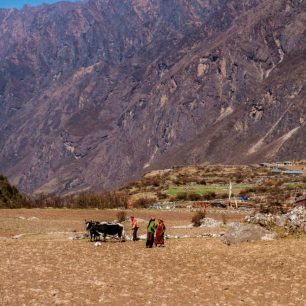 Lidé Tamang zastávají šest funkcí v hierarchii společnosti