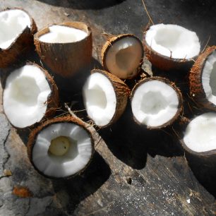 Čerstvě utržené kokosy