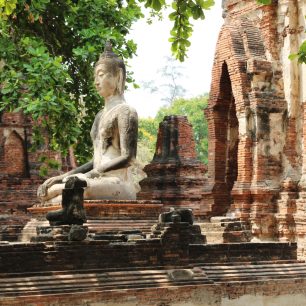 V Ayutthaya najdete rozmanité sochy Buddhů