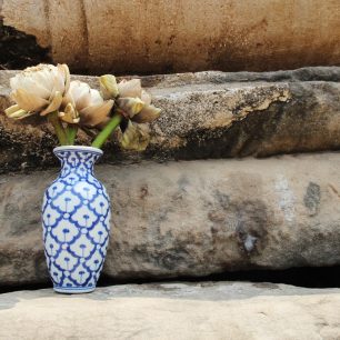 Lotosový květ, dar Buddhovi