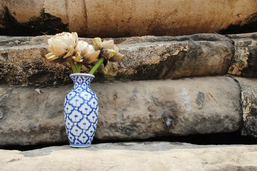 Lotosový květ, dar Buddhovi