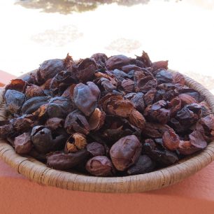 Plody před vyloupáním