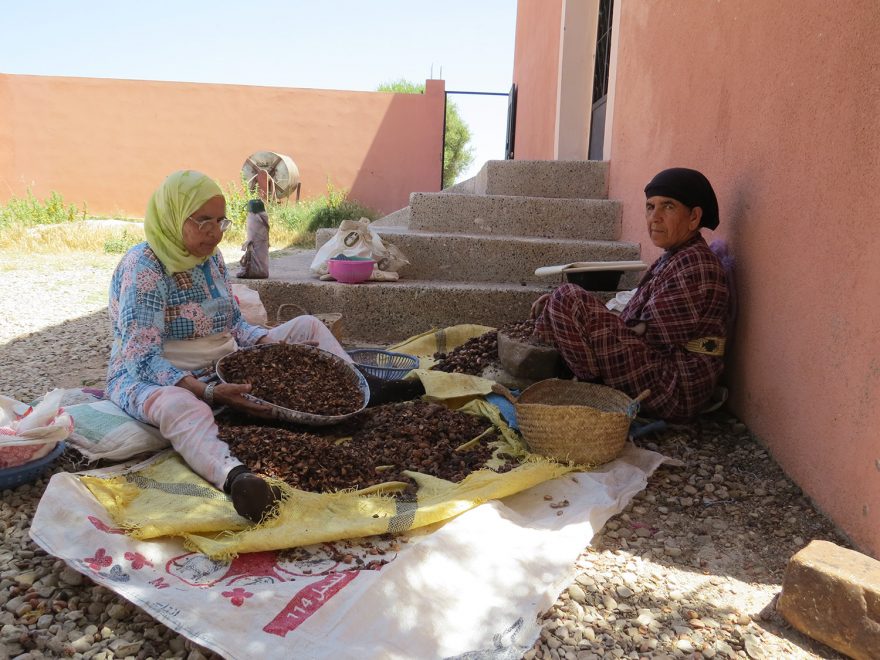 Pecky se zbavují slupek