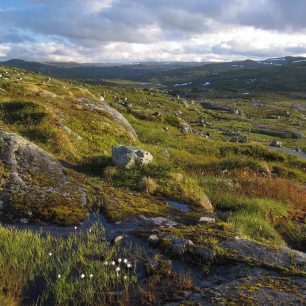 Norsko očima Matěje Boháče
