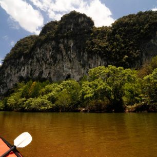 Teplota na vodě stoupá, mangrovy tlumí i větry