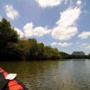 Na mořském kajaku v bludišti mangrovů