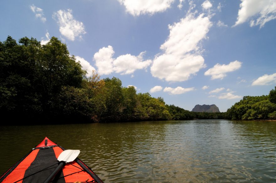 Na mořském kajaku v bludišti mangrovů