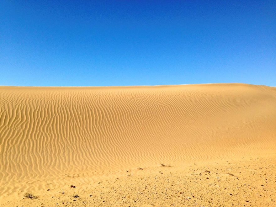 Písečné duny Západní Sahary