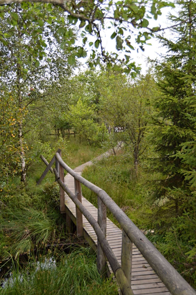 Dřevěné lávky usnadňují pohyb v okolí potoka.