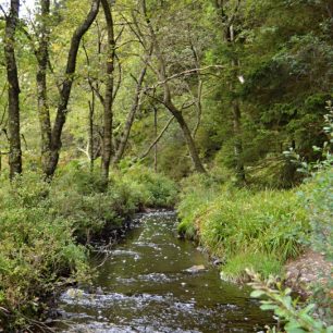 Voda potoka Ru de Polleur je často zbarvena až do červena.