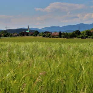 Korutany se hodí pro nadšené bikery i rekreační cyklisty