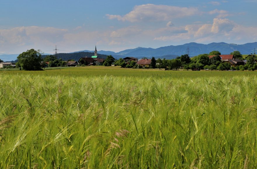 Korutany se hodí pro nadšené bikery i rekreační cyklisty