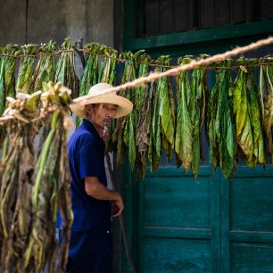 Pěstitel tabáku v Číně