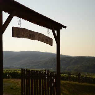 Jedno z místních vinařství (součást vinařské stezky)