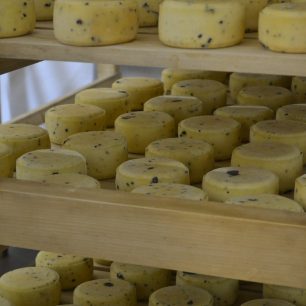 Kozí sýr s lanýžem ze sýrárny Biogal