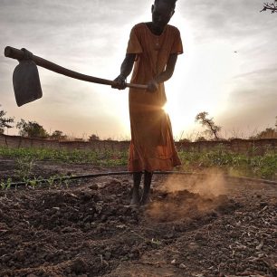 Obdělávání zahrady