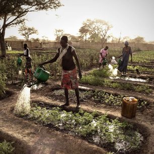 Vypěstovanou zeleninu mohou i prodávat