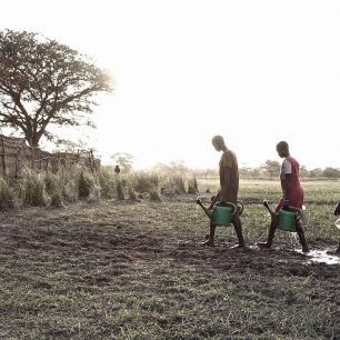 Každému druhému hrozí nedostatek jídla