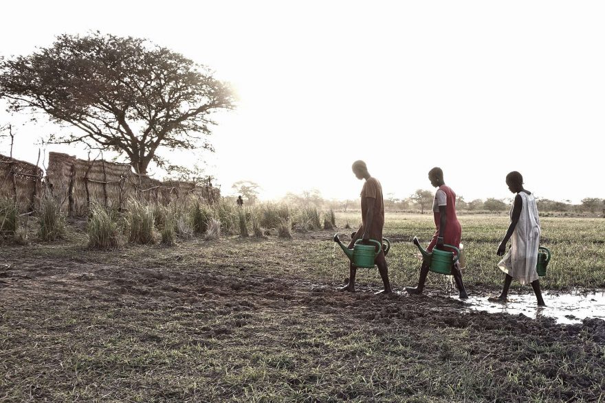 Každému druhému hrozí nedostatek jídla