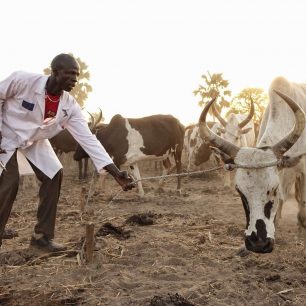 Očkování zvířat