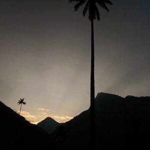 Ráno ve Valle de Cocora, Kolumbie