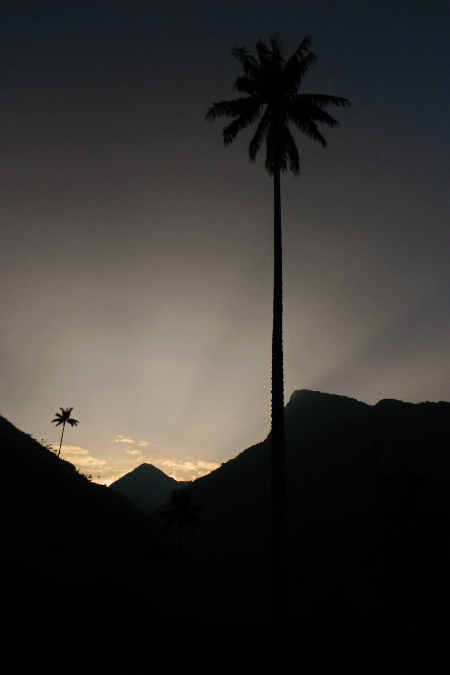Ráno ve Valle de Cocora, Kolumbie