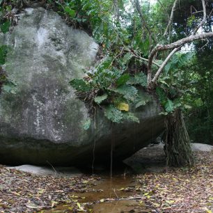 První úsek brzké ranní procházky džunglí vedl písčitým korytem potoka