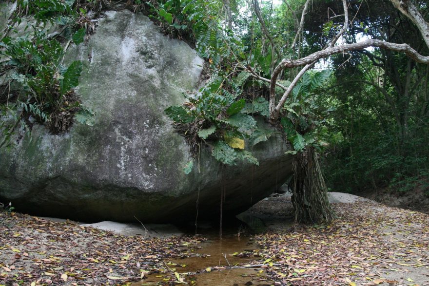 První úsek brzké ranní procházky džunglí vedl písčitým korytem potoka