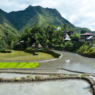 Terasovitá rýžová pole ve vesnici Batad