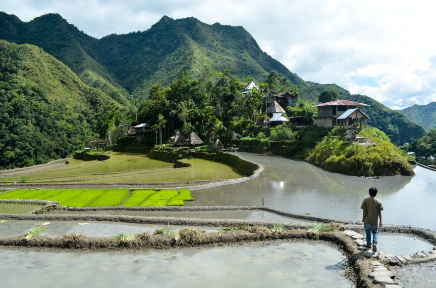 Terasovitá rýžová pole ve vesnici Batad