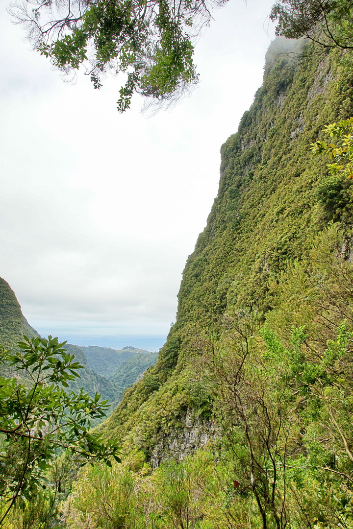 Příkré zelené hory Madeiry