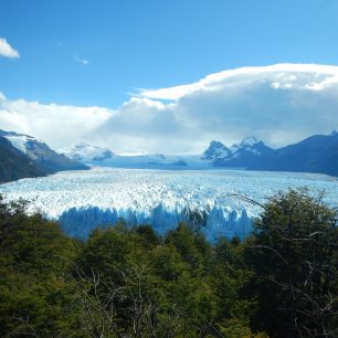 Cestou k turistickému centru se ledovec Perito Moreno ukazuje za špičkami stromů.