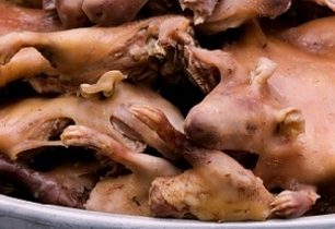 Hnus na talíři aneb co ve světě komu chutná?