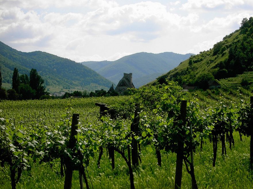 Vinice Wachau, St. Michael