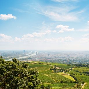 Vídeňský les (Shutterstock.com)