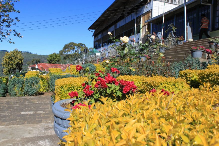 Továrna na čaj Dambatenne