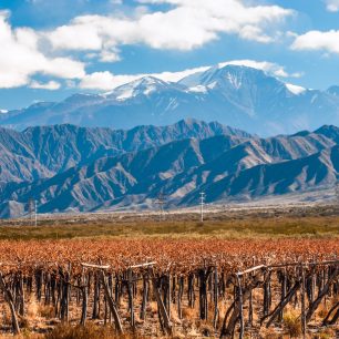 Mendoza vinice v pozadí s Aconcaguou (Shutterstock.com)