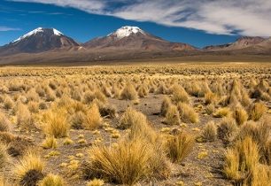 Altiplano