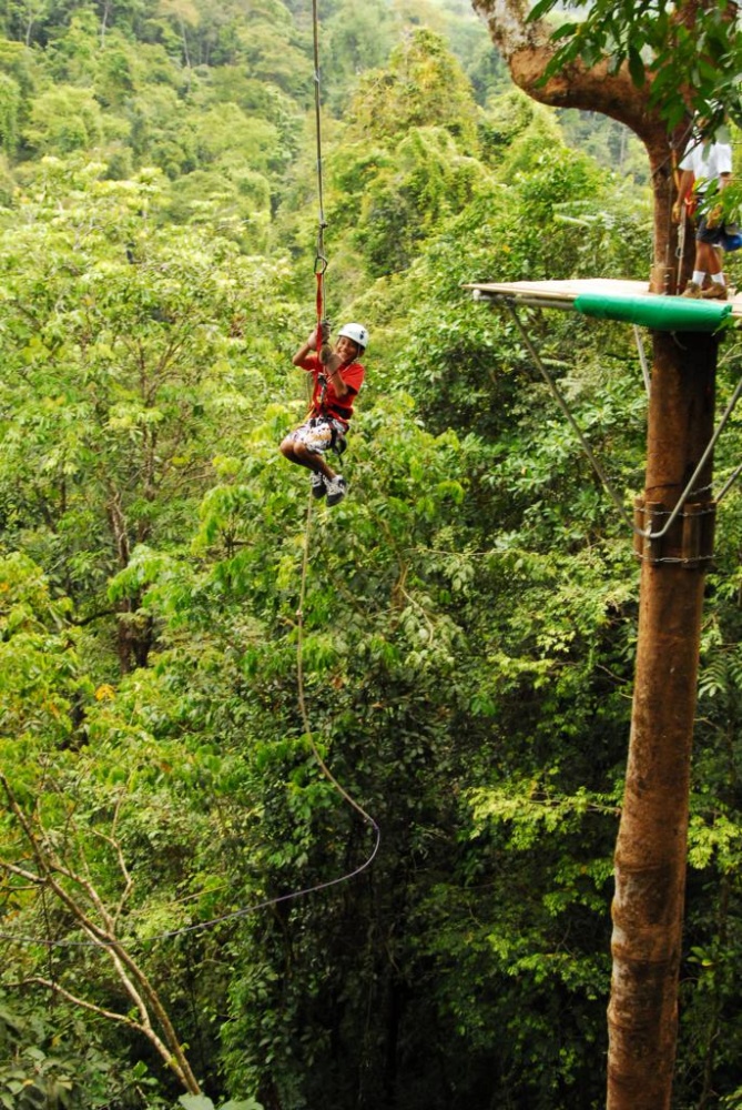 Pohyb v korunách stromů je pořádný adrenalin