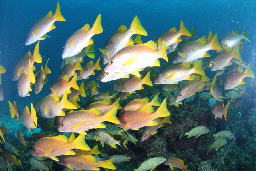 Vodní aktivity jsou na Kostarice oblíbené