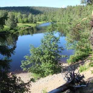 Krajina je v létě nádherně zelená